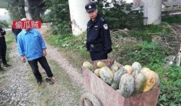 吃瓜最新事件爆料安徽新闻,吃瓜群众热议最新事件，揭秘幕后真相