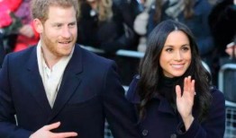 最新爆料185号梅根图片,揭开神秘面纱背后的故事