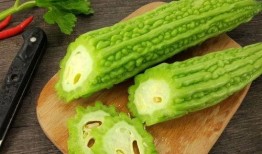 翰林院吃瓜免费下载,免费下载，畅享知识盛宴